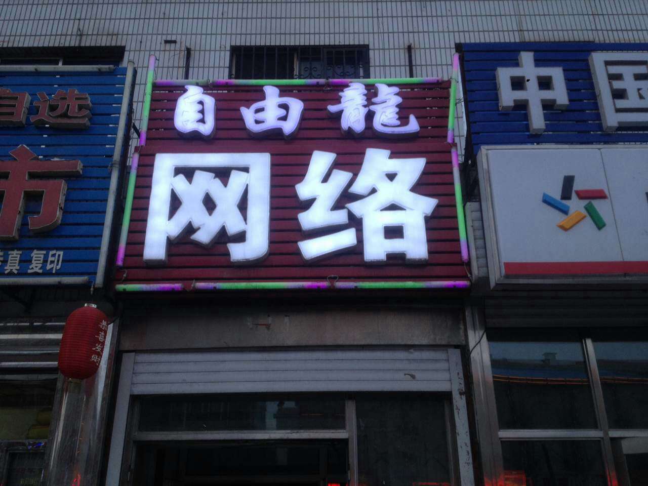 自由龙.jpg