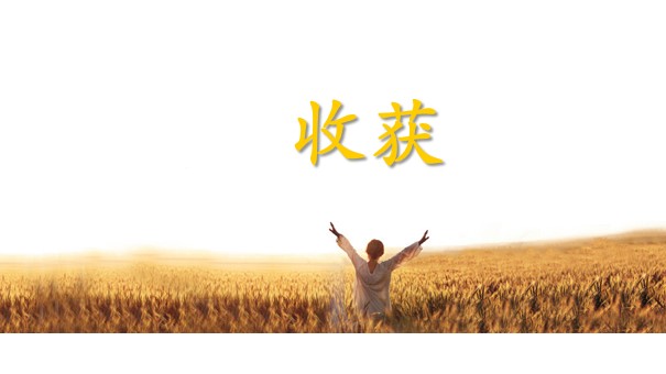 幻灯片17.JPG